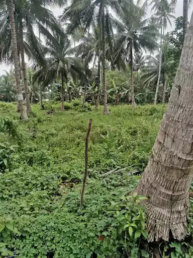1911 sqm lot for Sale Near UST, Gensan — Residential Lot in General Santos City, South Cotabato, Philippines — Photo 2