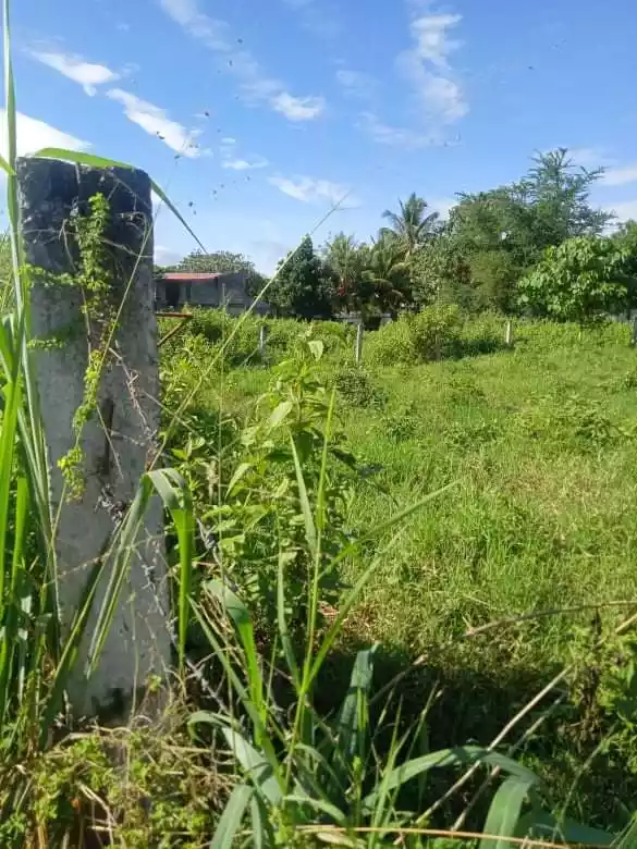 Residential Lot - photo 5