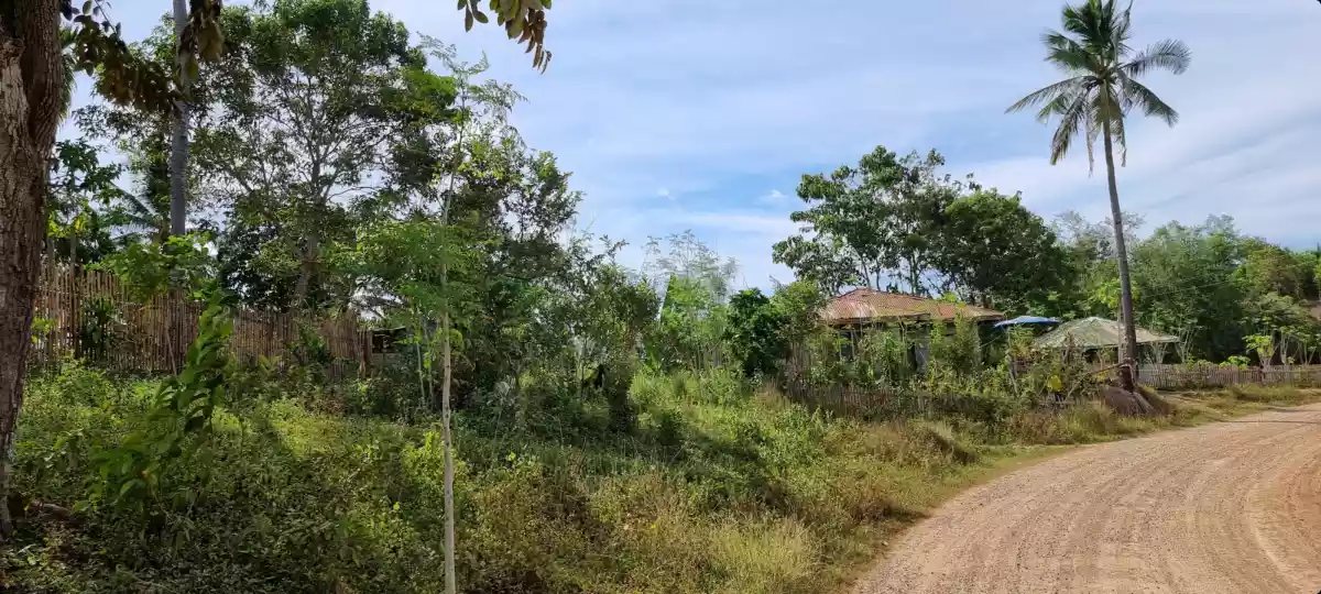 1.5 hectares farm lot for sale in Alubijid Misamis Oriental - photo 4
