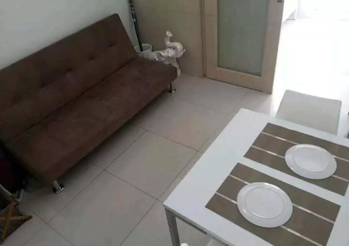 1BR Condominium — 1 Bedroom in Nicanor Garcia, Makati, Metro Manila — Photo 4