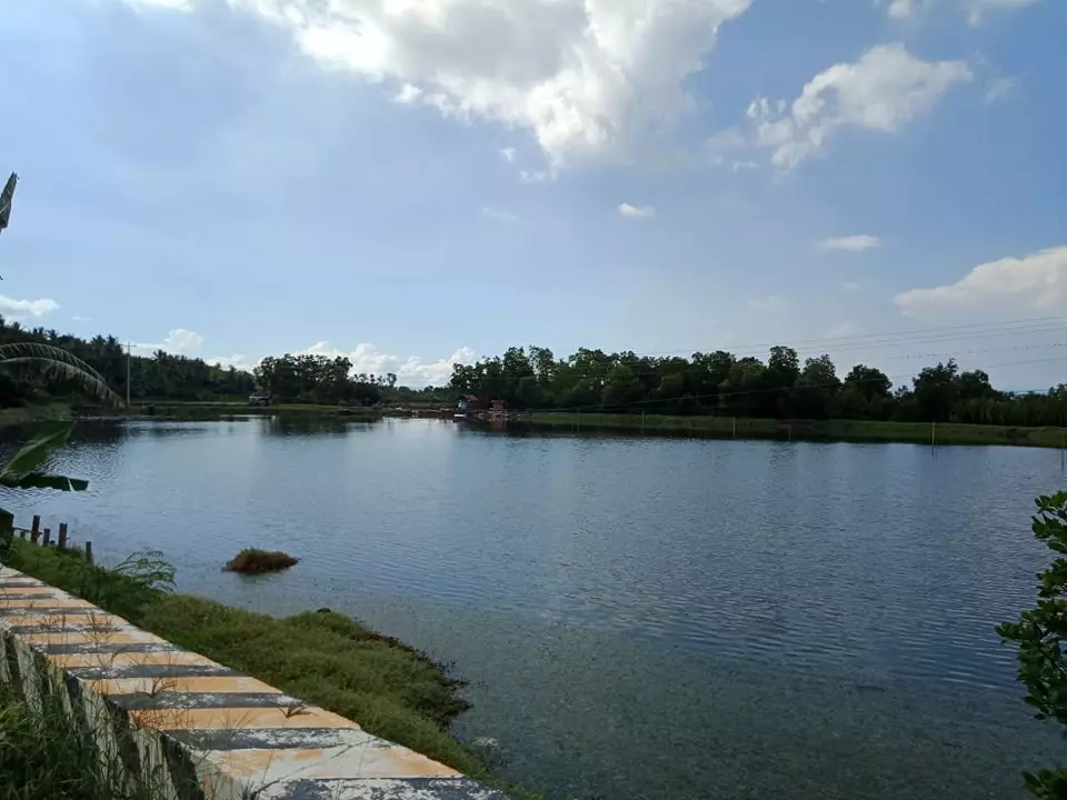 Income Generating Fish Pond — Commercial Lot in Cebu, Philippines — Photo 2