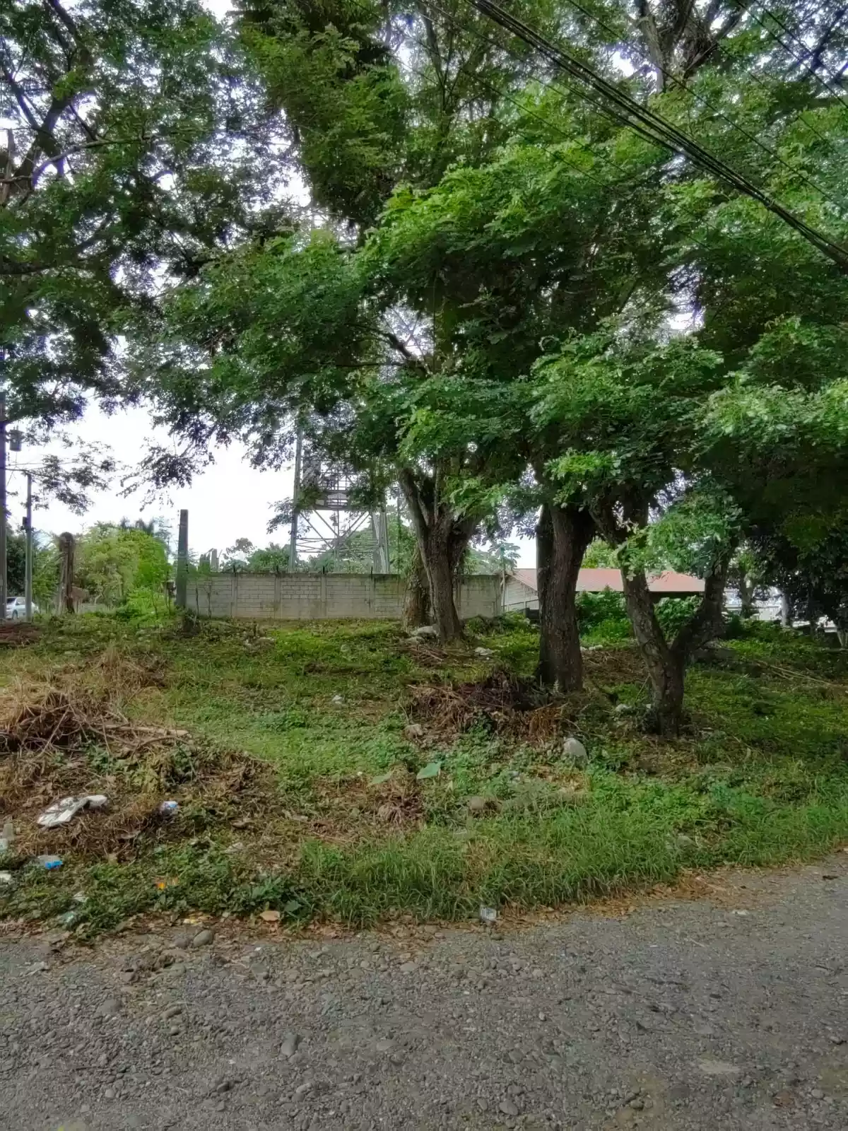 Residential Lot in Ma-a (Near Gap Farm) - photo 5