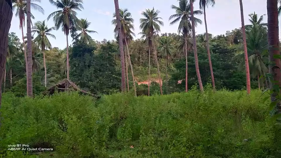 Beach Property For Sale — Beach Lot in Palawan, Philippines — Photo 7