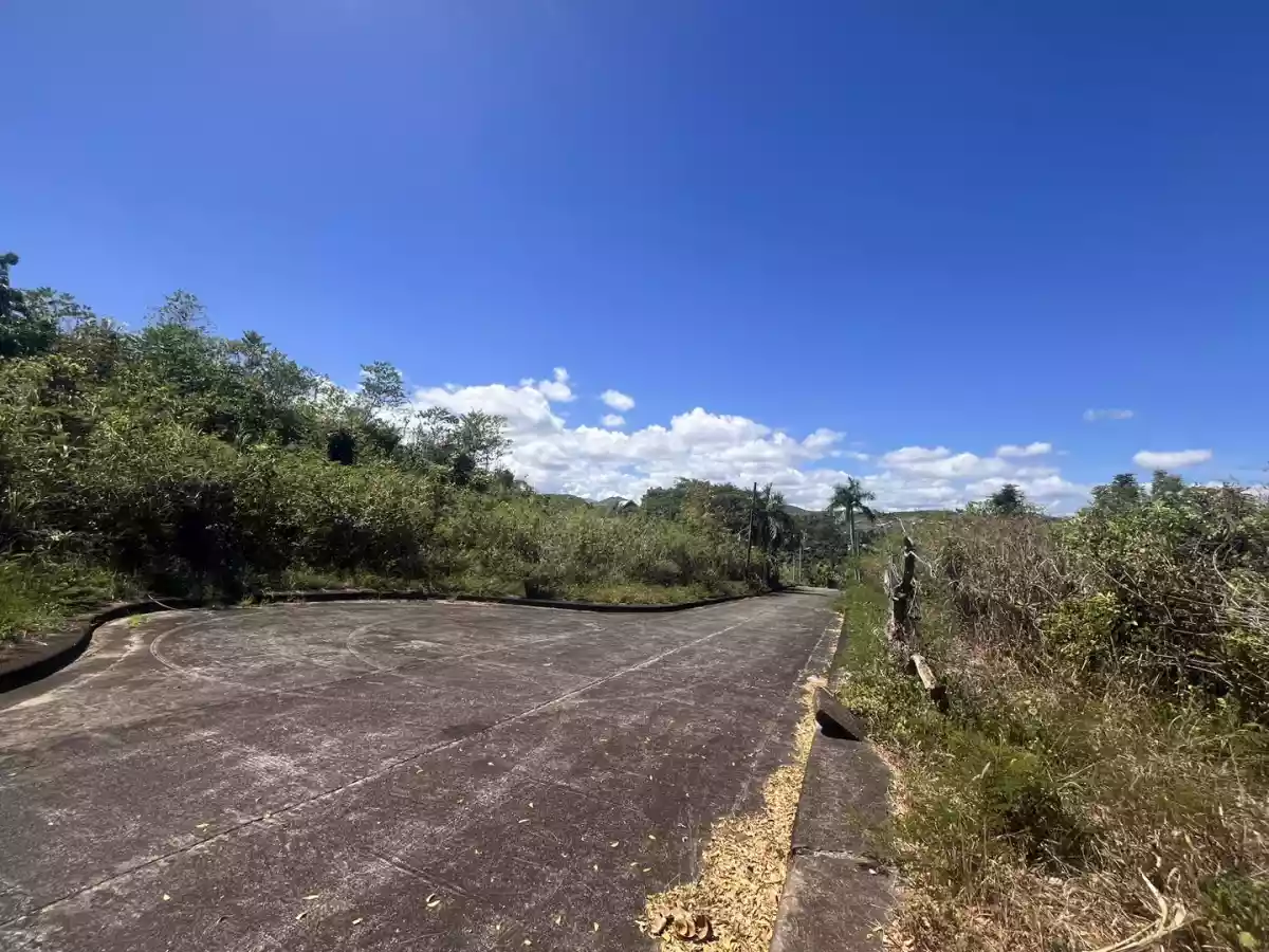 Lot for Sale in El Monteverde, Lamac, Consolacion Cebu — Residential Lot in New Orleans Street, Lamac, Consolacion — Photo 3