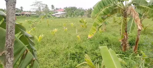 1 Hectare Title lot in Toledo along the Main road in Poblacion Toledo — Commercial Lot in Poblacion, toledo City, Cebu Philippines — Photo 6