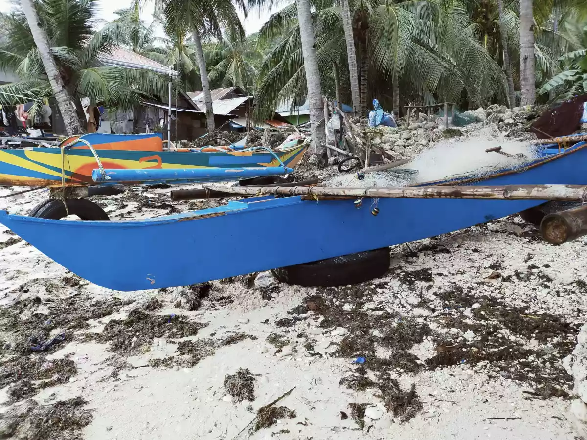 Beach Lot for Sale in Oslob Cebu — Beach Lot — Photo 4