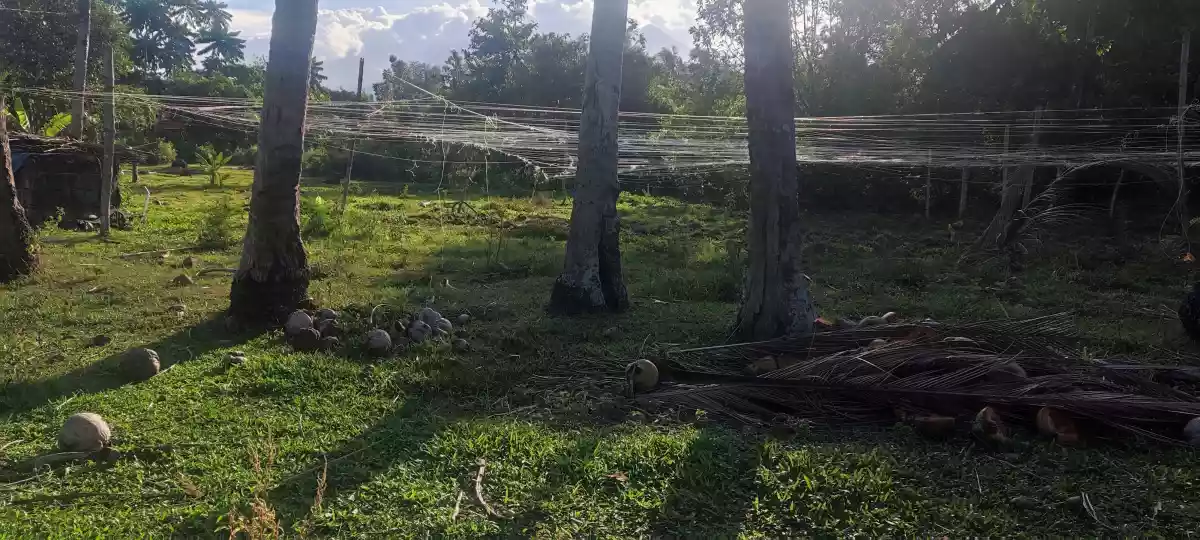 Lot for Sale — Residential Lot in Negros Oriental, Philippines — Photo 5