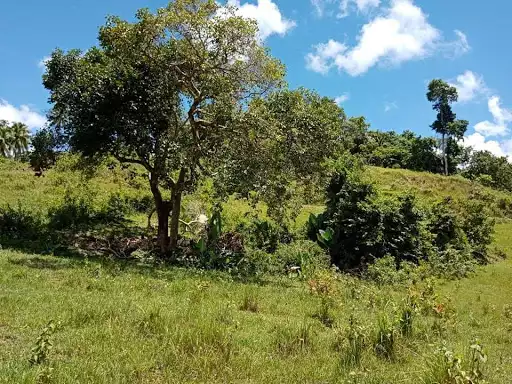 Open photo 11 of 27 — Very rush sale farm lot