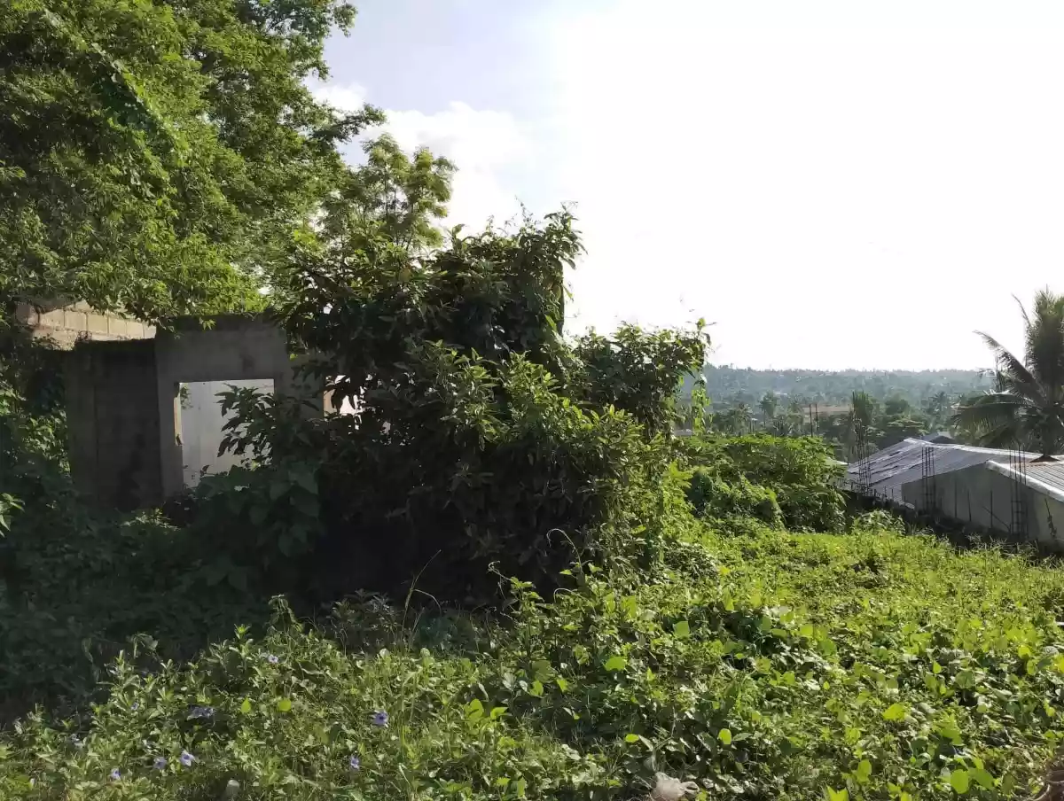 Residential land - photo 2