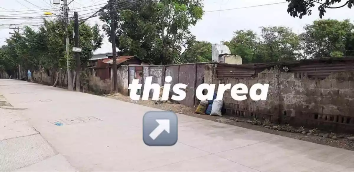 Commercial Lot for Sale in Mandaue