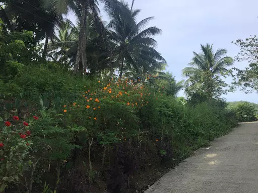 Residential Lot in Balamban for sale — Residential Lot in Balamban, Cebu, Philippines — Photo 2