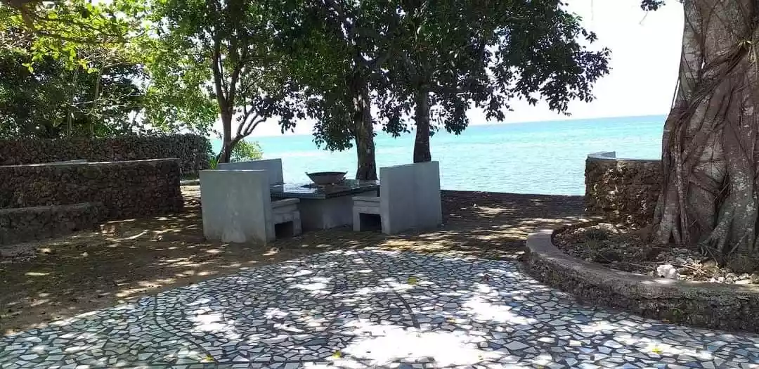 CAMOTES ISLAND BEACH LOT - photo 3