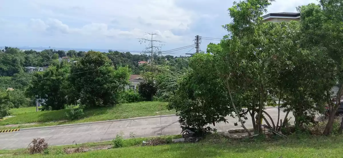 Overlooking Lot For Sale in Kishanta Subdivision – Talisay City, Cebu - photo 3