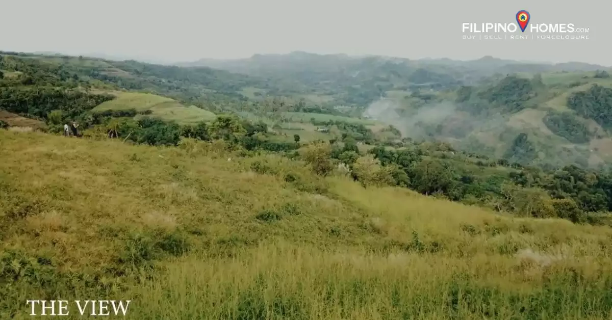 LOT in Don Salvador for sale — Agricultural Lot in Negros Occidental, Philippines — Photo 4