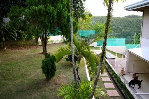 For Rent in Maria Luisa Banilad (Negotiable Rate) — House and Lot in Paseo Esperanza, Cebu City, Cebu — Photo 3