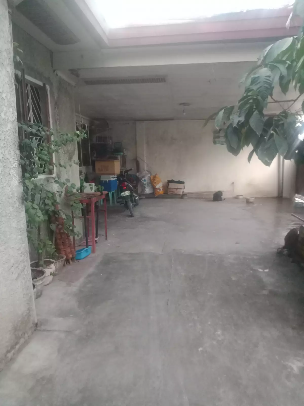 Corner Lot in Gensanville Good for Commercial or Residential  - photo 6