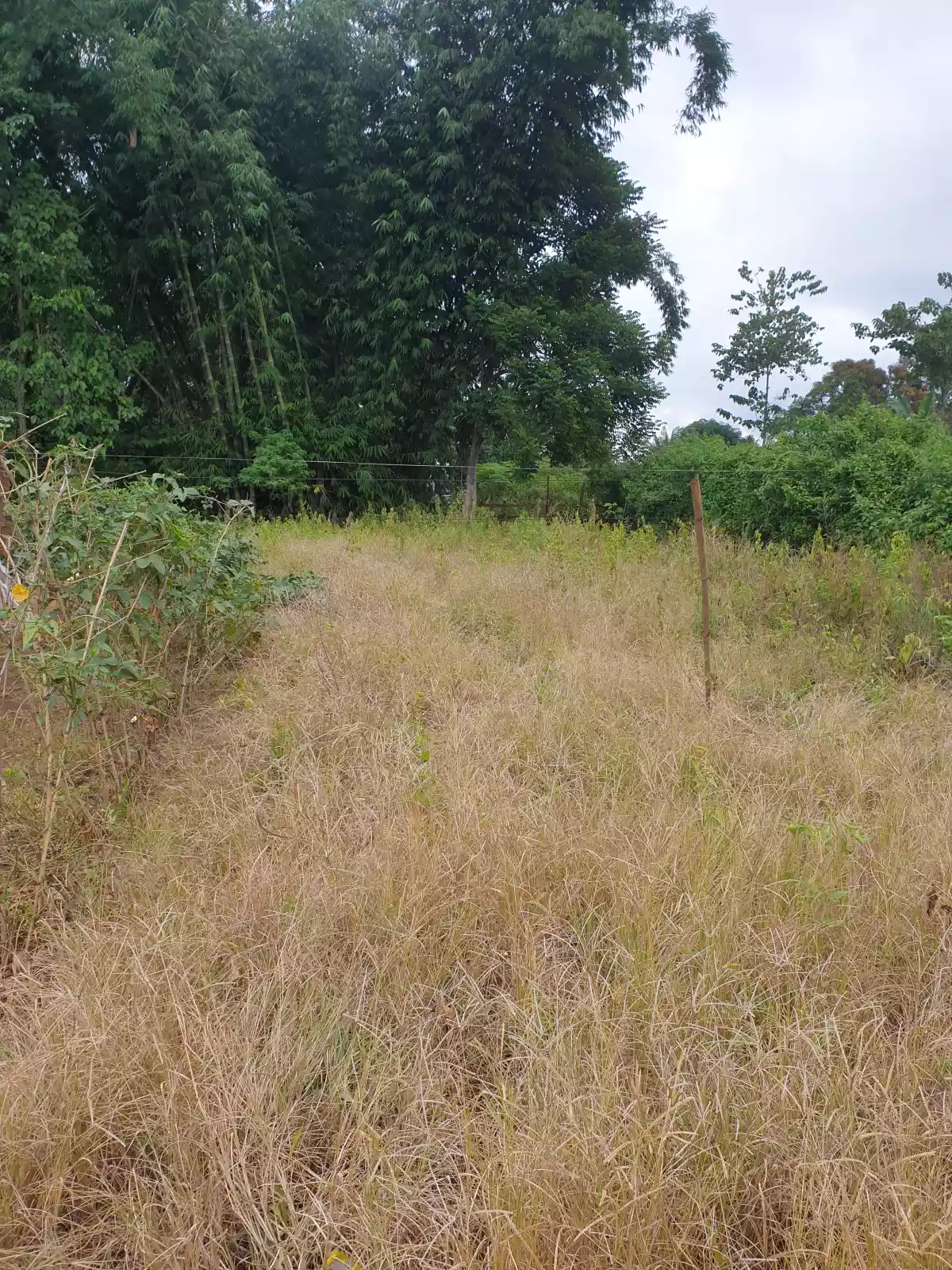 Residential lot — Residential Lot in Bukidnon, Philippines — Photo 3