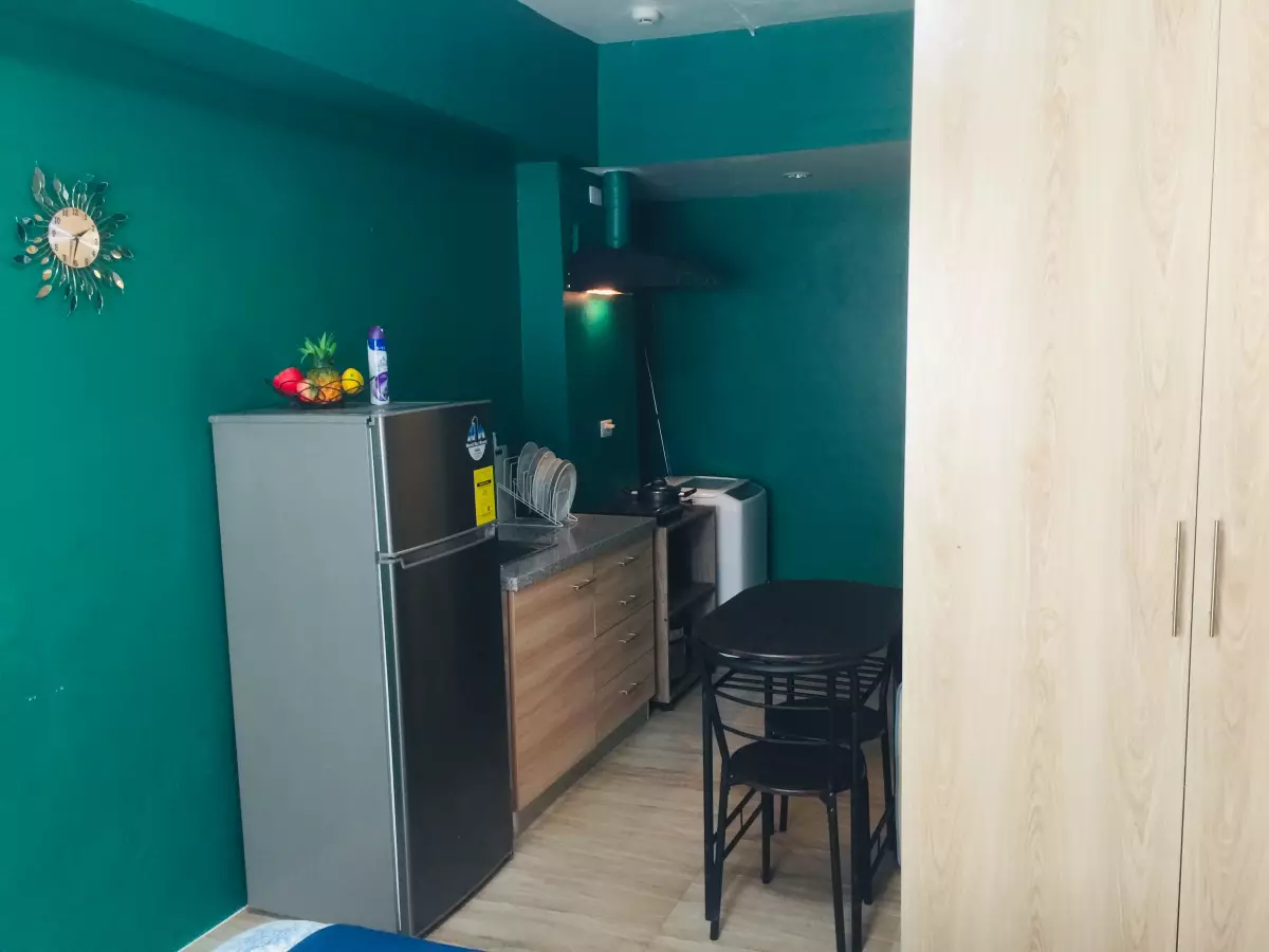 Fully Furnished Studio Unit for Rent in Apple One Banawa Heights Tower 3 - photo 3