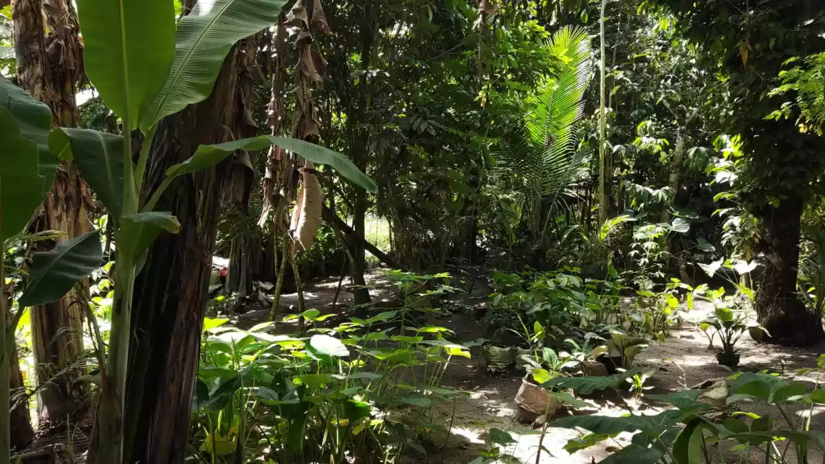 1,019 sqm residential lot with 2 house for Sale — House and Lot in South Cotabato, Philippines — Photo 4