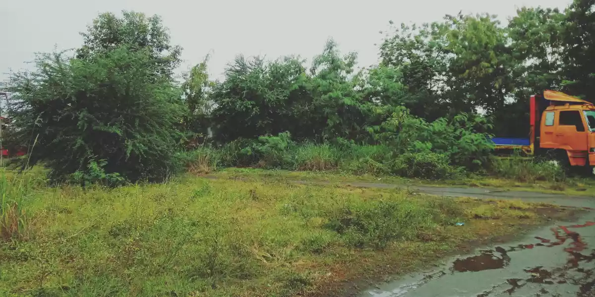 600 sqm Lot in Mabuhay Near Windsor for SALE!