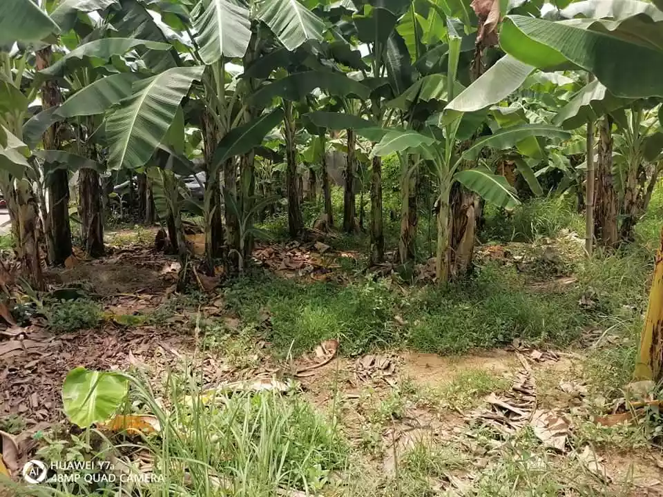 Lot for Sale - photo 5