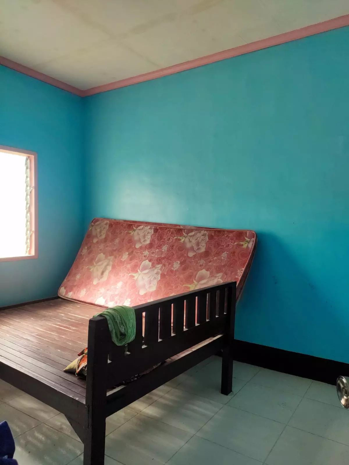 800 SQ MTR Warehouse with A Big House - photo 4