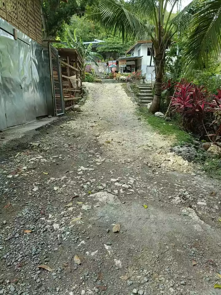Residential Lot for Sale in Catarman Dauis, Bohol - photo 4