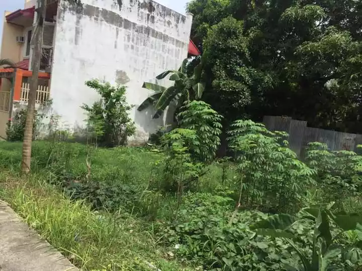 Yes — Residential Lot in Liloan, Cebu, Philippines — Photo 4
