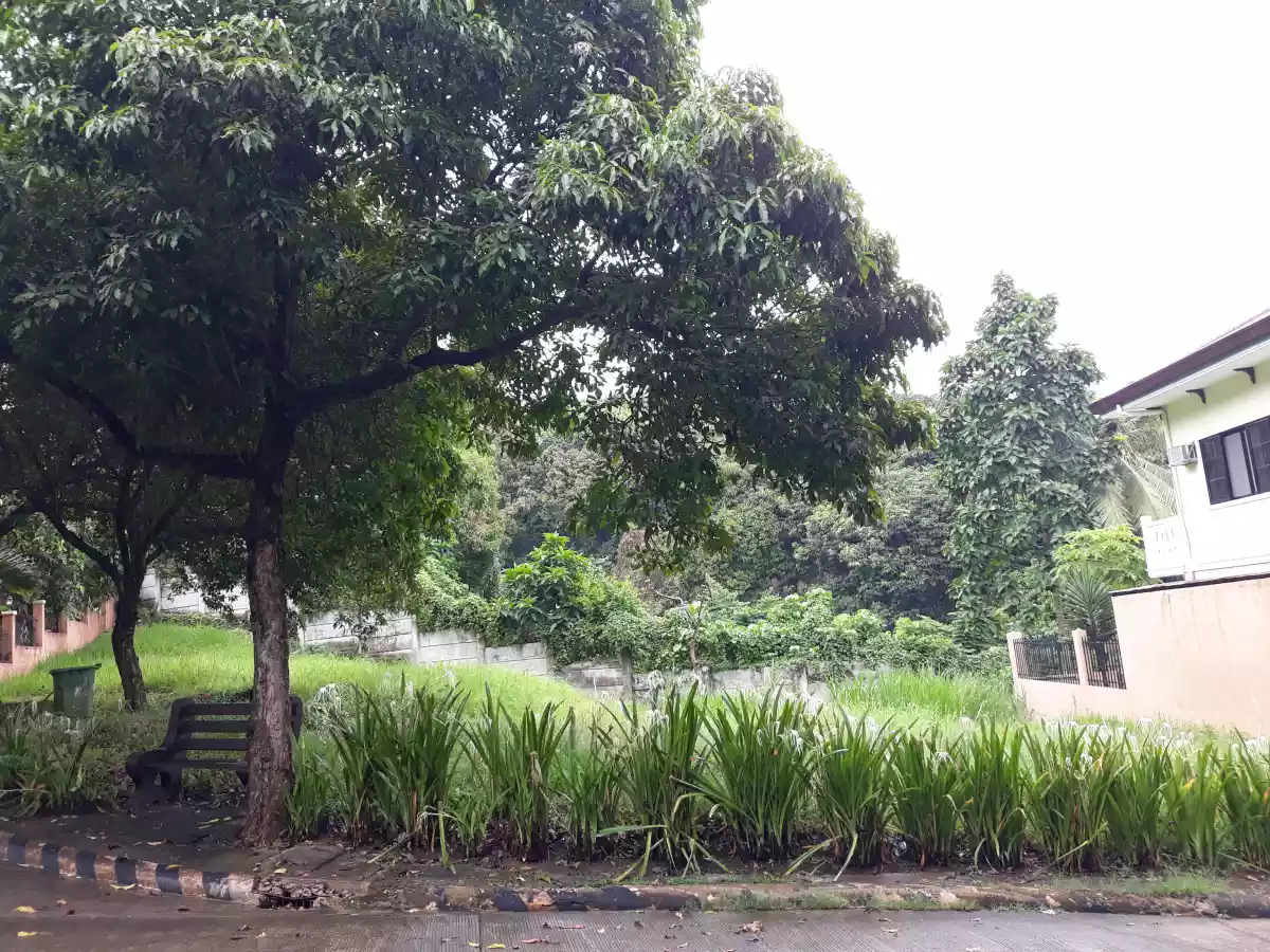 Residential Lot for Sale! - photo 3