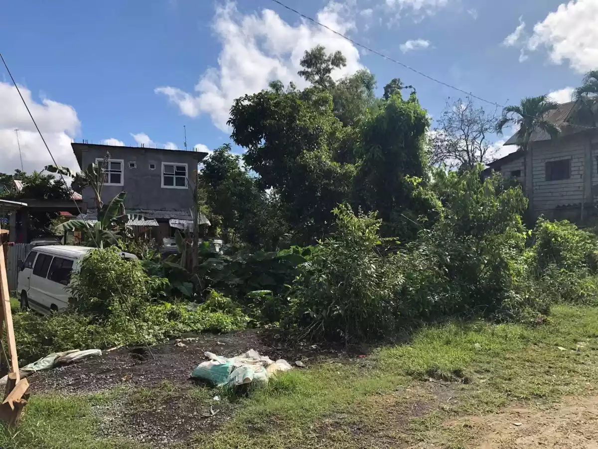 Lot for sale - photo 4