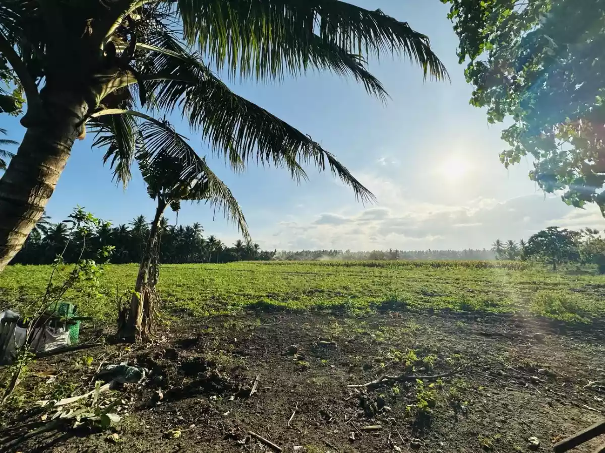Big property near UST Gensan Campus - photo 5