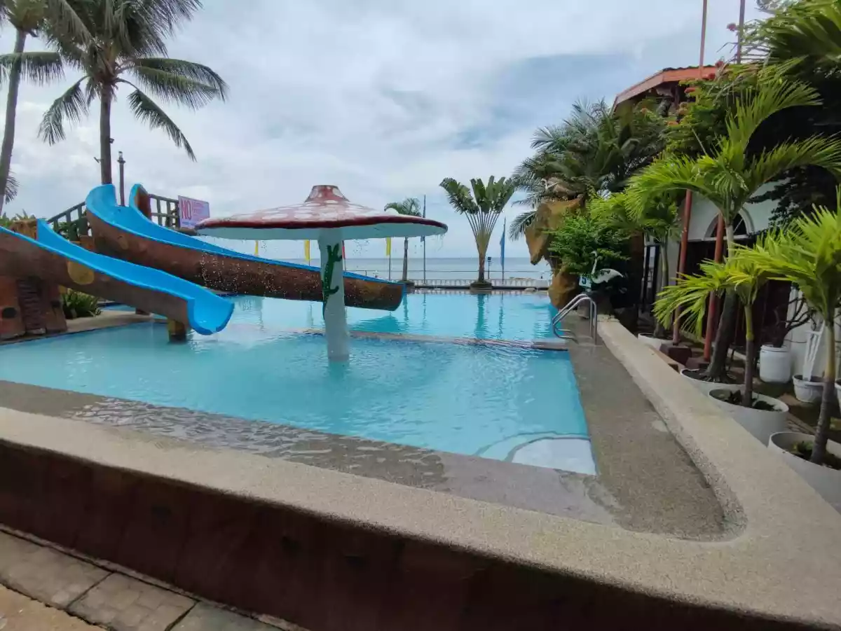 INCOME GENERATING BEACH RESORT NEAR CEBU SAFARI - photo 5
