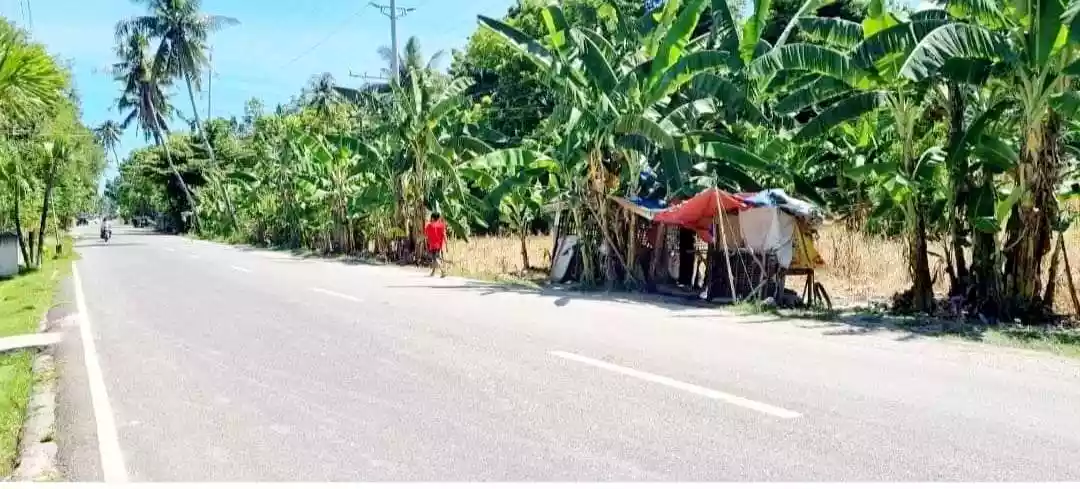 Lot for sale in Ginatilan, Cebu — Agricultural Lot in Ginatilan, Cebu, Philippines — Photo 6