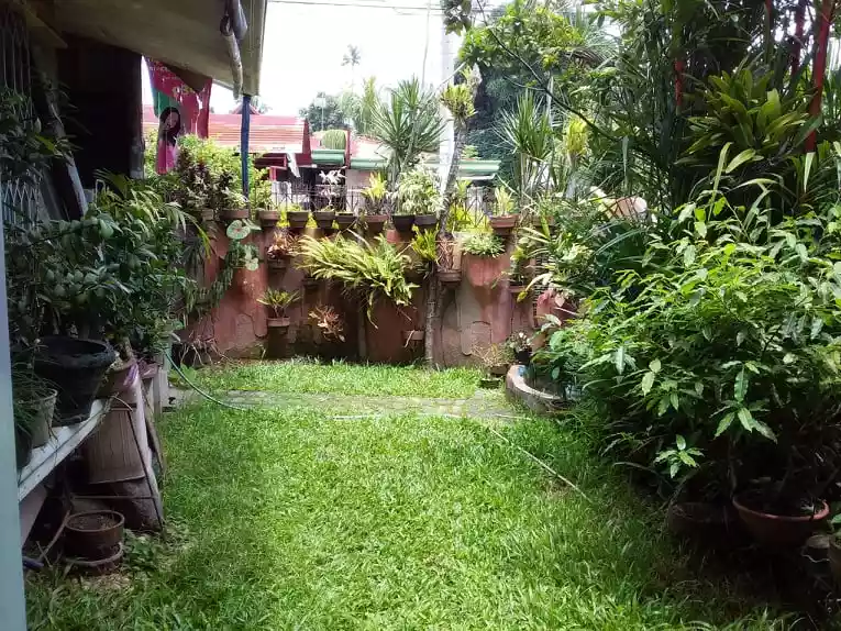 FOR SALE: House & Lot in Alpha Homes Matina, Davao City - photo 6