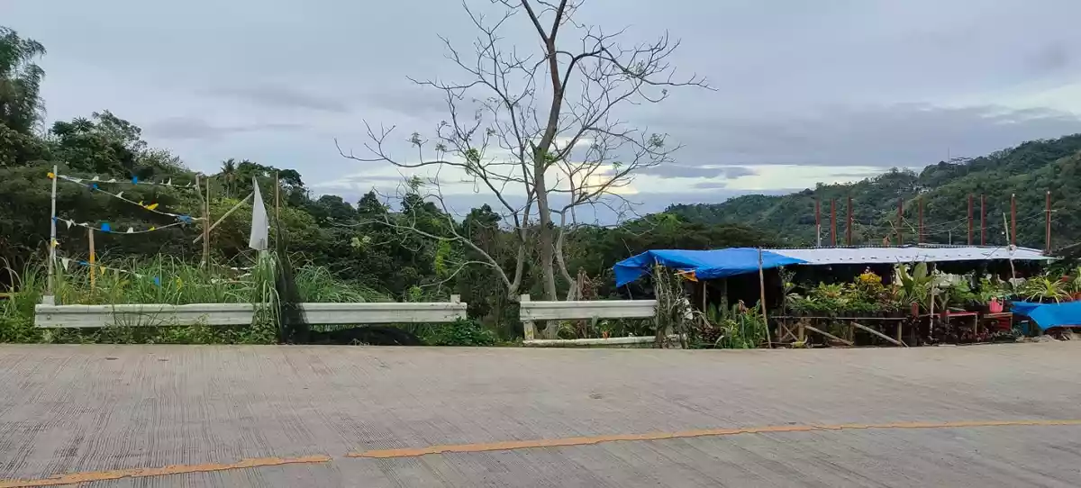 Lot along Hi-way of Transcentral Babag, Cebu City — Agricultural Lot in Apas, Cebu City, Cebu — Photo 6