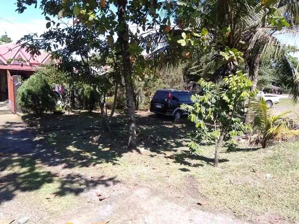 Commercial Lot along Don Carlos Highway, Bukidnon — Commercial Lot in Bukidnon, Philippines — Photo 2