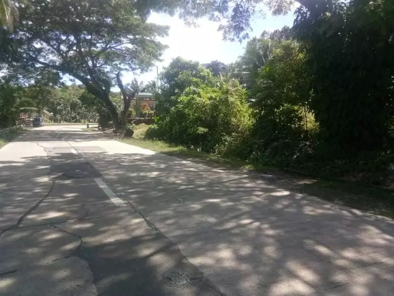Lot for Sale in Sogod - photo 7