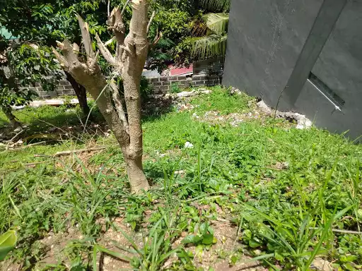 Vista Grande Lot — Residential Lot in Rio de Janeiro Street, Talisay, Cebu — Photo 5
