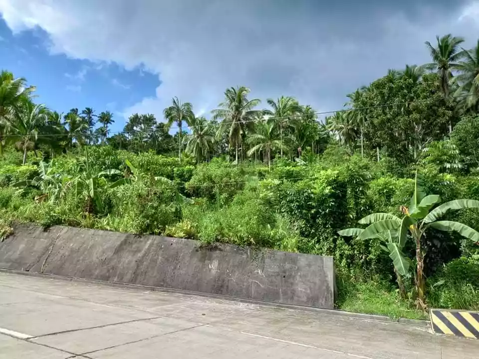 Residential lot along the road - photo 7