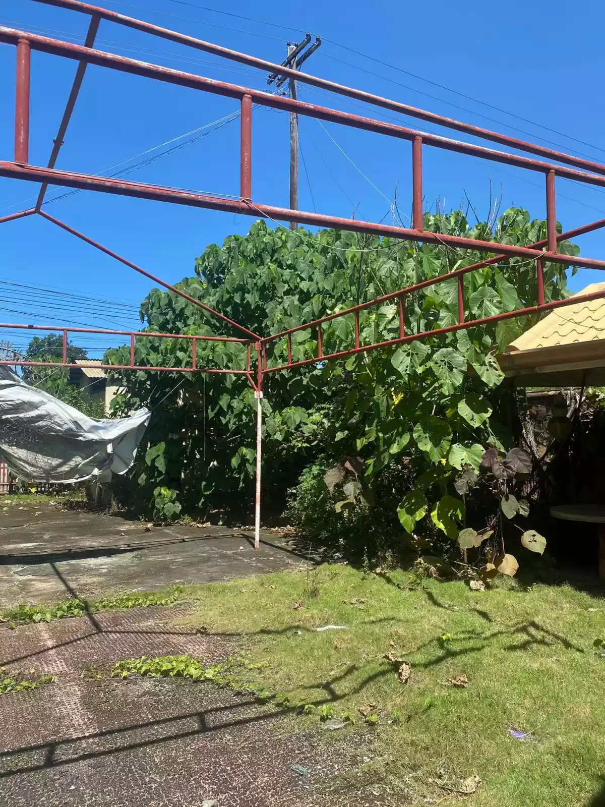 Lot with Commercial Bldg - photo 3