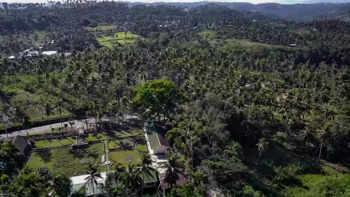 Overlooking Clean Title Lot for Sale in Bangcal,Jimalalud, Negros Oriental — Agricultural Lot in Jimalalud, Negros Oriental, Philippines — Photo 6