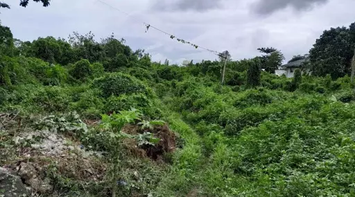Open photo 14 of 21 — Cordova BIG LOT for SALE near CCLEX Cebu