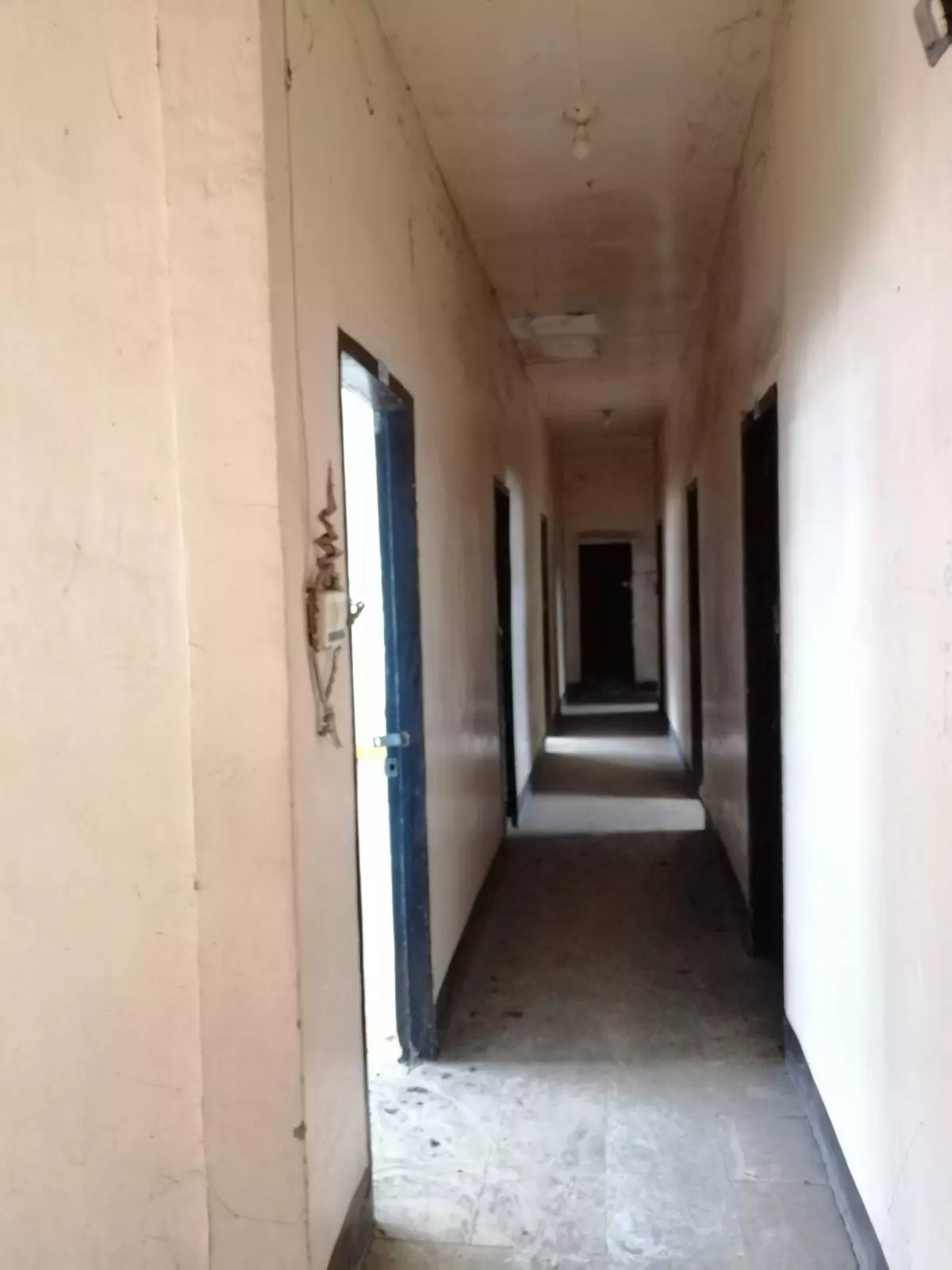 3 Storey Commercial Building - photo 4