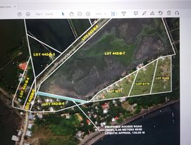 DUMANGAS-ILOILO COMMERCIAL LOT - photo 2
