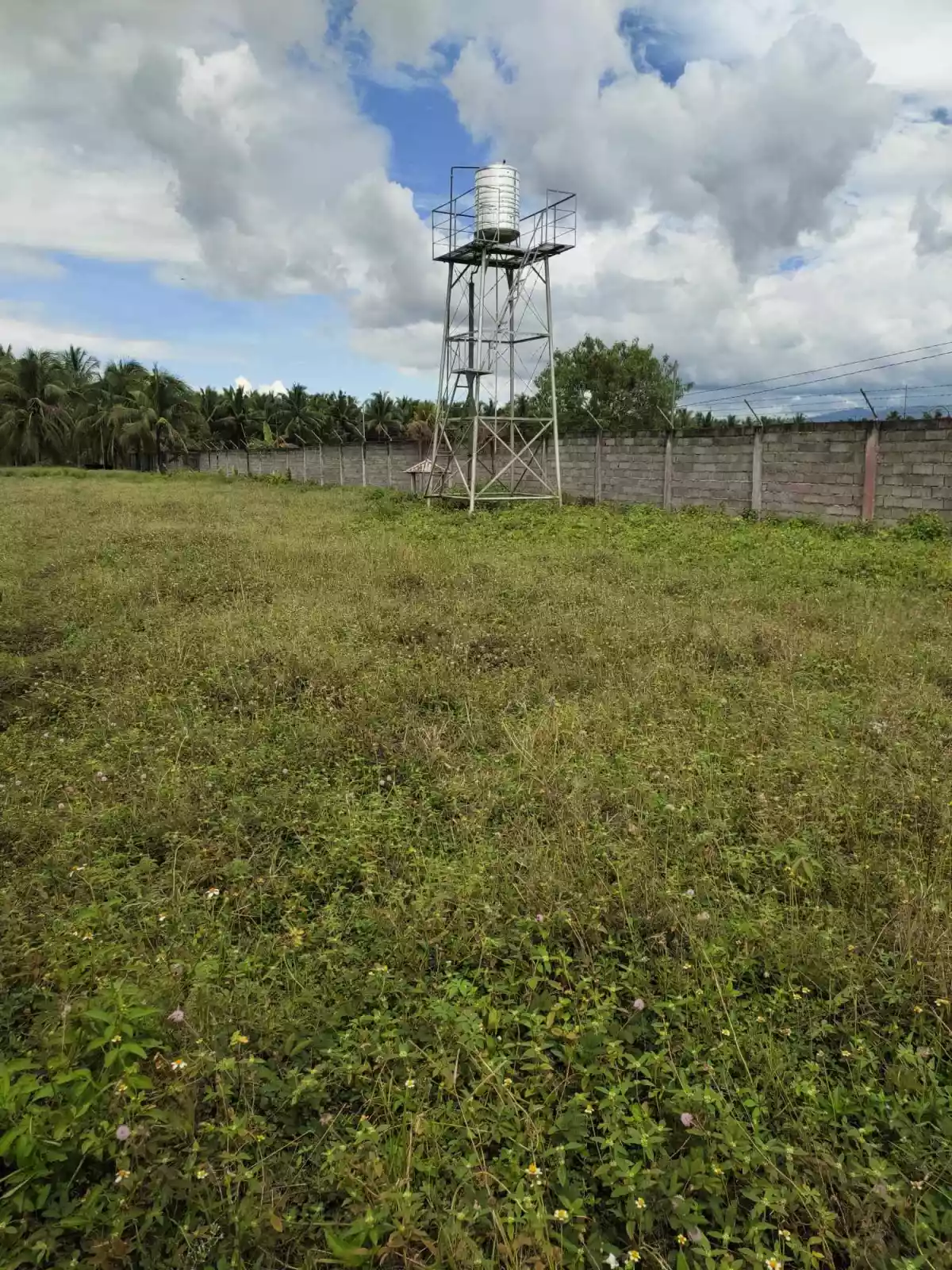 Open photo 12 of 12 — 4-Hectare Farmland with Fruit-bearing Trees and River Access