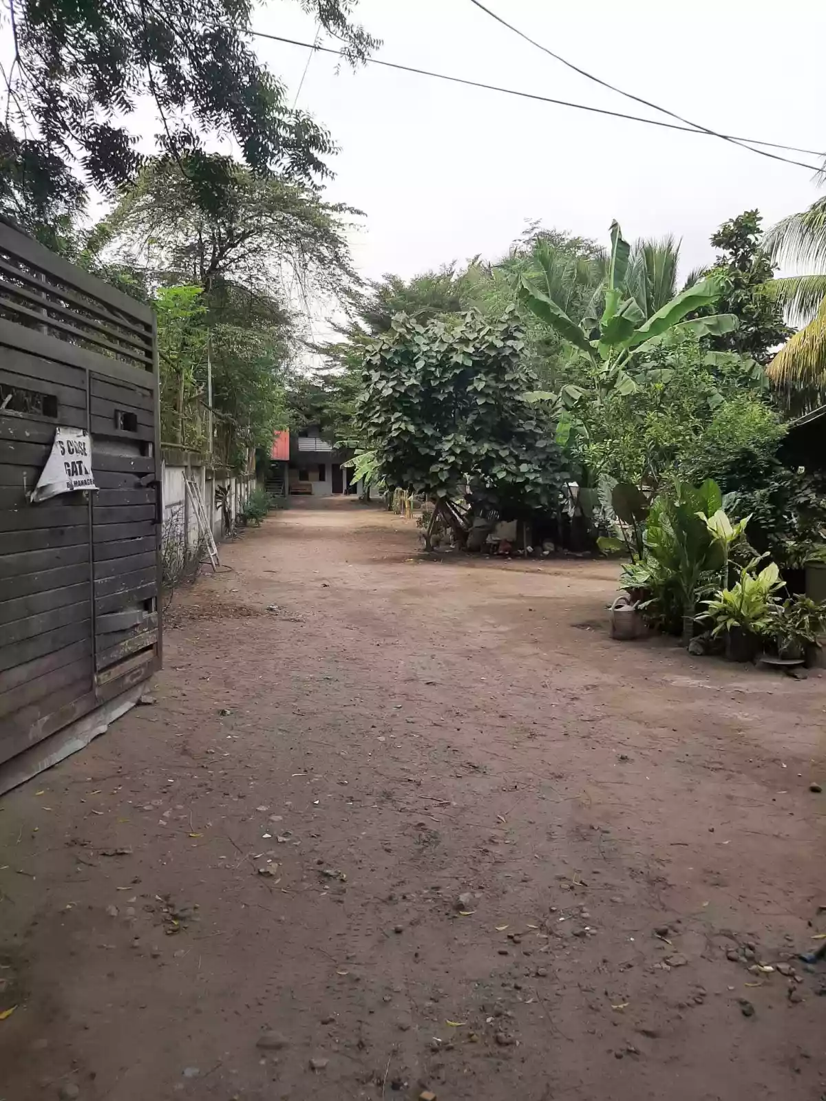 1429 sqm lot with apartment
