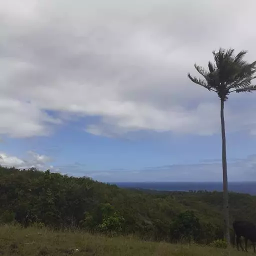 LOT for sale — Residential Lot in Boljoon, Cebu, Philippines — Photo 3