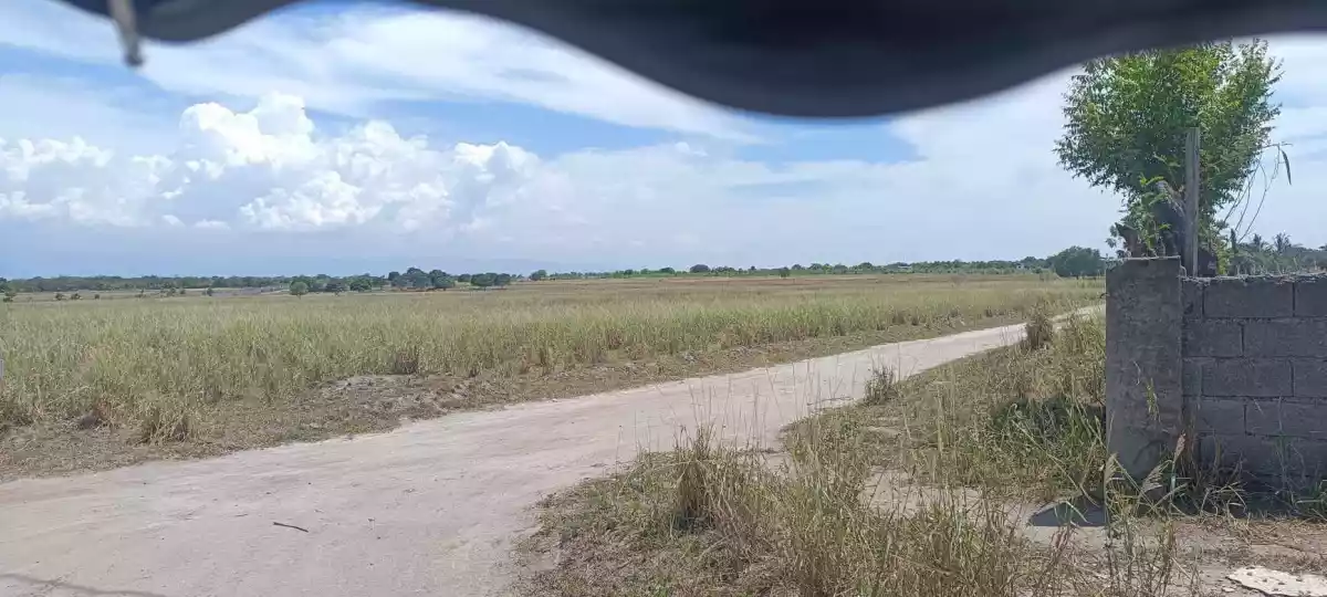 Lot For Sale - Agriculture - photo 3