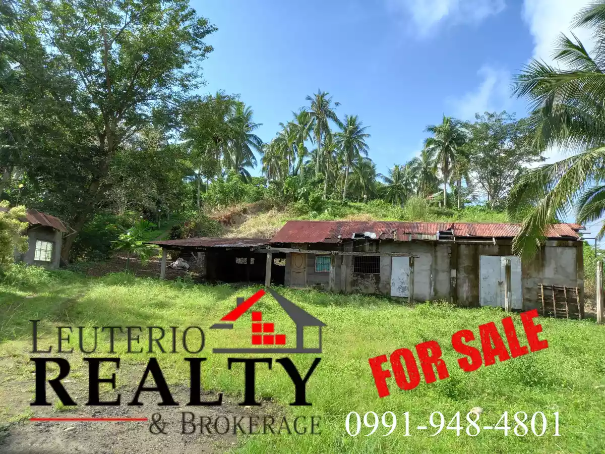 20,000 SQ.M. (Agricultural/Residential/Industrial) LOT — Agricultural Lot in Camarines Sur, Philippines — Photo 5