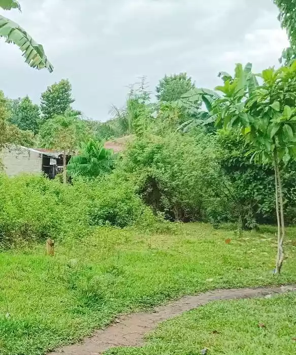 RUSH SALE MOTONG LOT ONLY — Residential Lot in Motong Road, Dumaguete, Negros Oriental — Photo 5